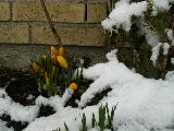 2009-03-23 12:28:32