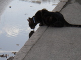 2009-04-10 13:23:35