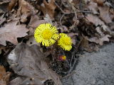 2009-04-10 13:27:10