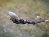 2009-04-12 18:45:56
