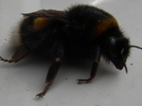 2009-04-13 12:21:15