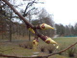 2009-04-14 09:19:27