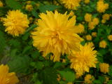 2009-05-25 14:55:55