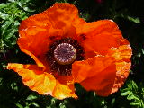 2009-06-24 14:44:37