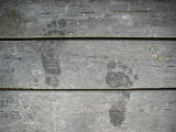 2009-08-05 20:46:42