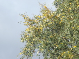 2009-09-24 10:10:42