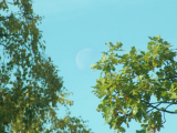 2009-10-10 13:32:43