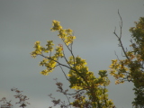 2009-10-18 16:48:33