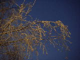 2010-01-12 07:45:01