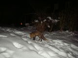 2010-01-22 19:06:56