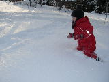 2010-01-29 11:42:44