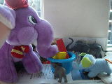 2010-03-16 08:38:48