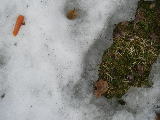 2010-03-27 10:56:36