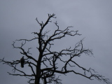 2010-04-30 16:54:47