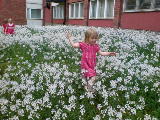 2010-05-22 18:44:38
