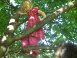 2010-05-30 16:58:14