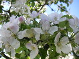 2010-06-04 15:15:05