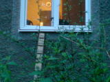 2010-08-02 21:24:36