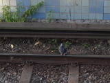 2010-10-18 08:39:53