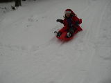 2010-11-28 11:59:35