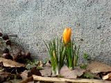 2011-03-22 09:46:11