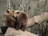 2011-04-10 13:41:46