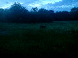 2011-06-12 23:05:42