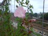 2011-08-25 18:31:15
