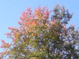 2011-10-04 12:18:06
