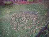 2011-10-30 07:59:06