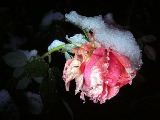2011-12-17 18:22:36