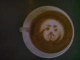 2012-01-20 12:41:43