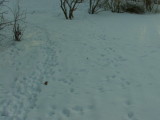 2012-01-31 10:00:21