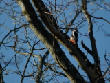 2012-03-25 17:02:29