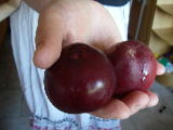 2012-06-29 10:28:05