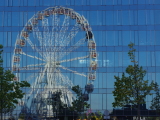 2026-08-11 18:39:21