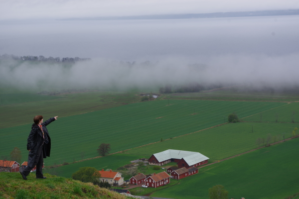Bild nummer 6