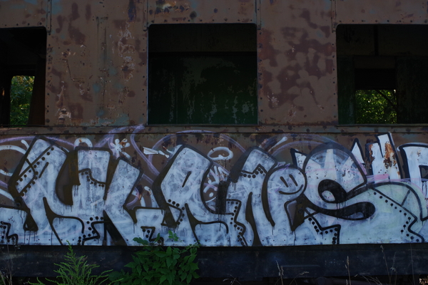 Bild nummer 14