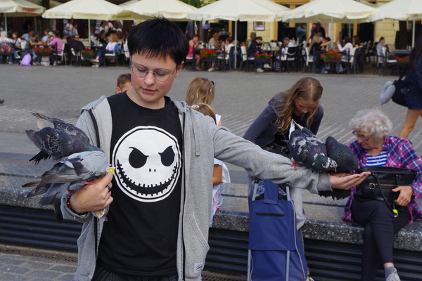 Bild nummer 2
