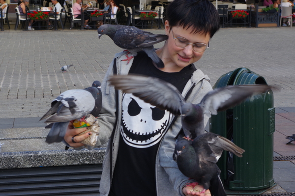 Bild nummer 3