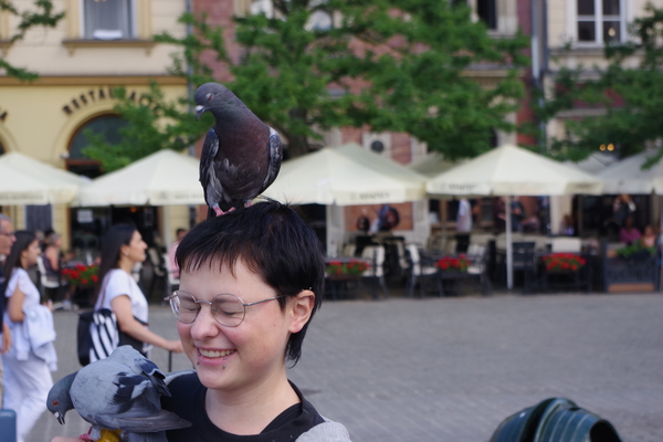 Bild nummer 4