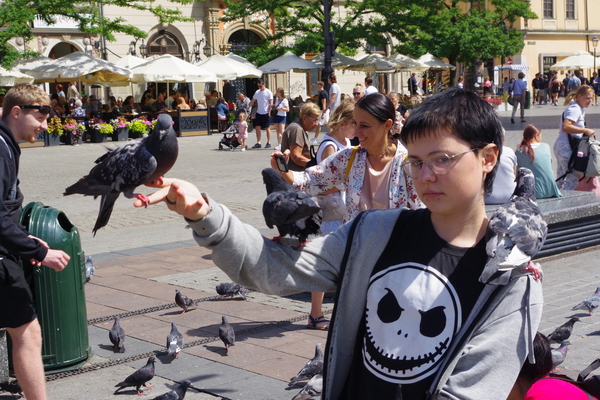 Bild nummer 7