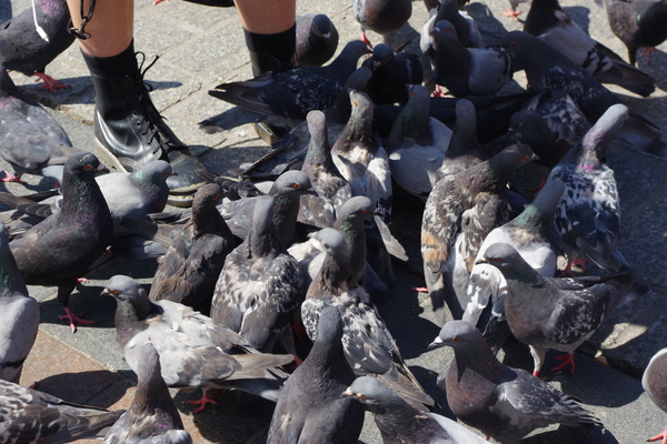 Bild nummer 15