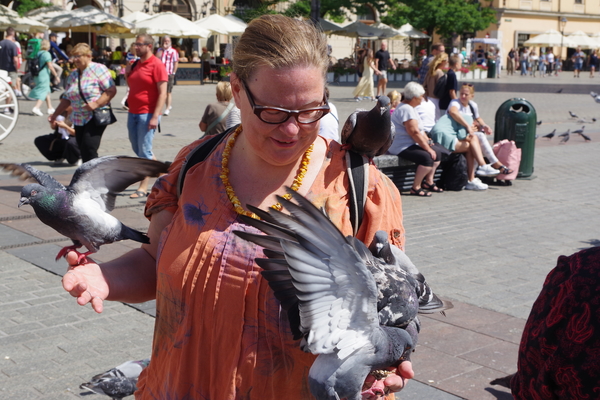 Bild nummer 12