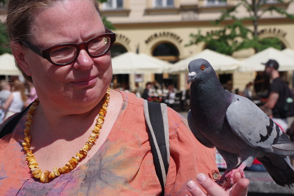 Bild nummer 13
